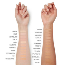 Load image into Gallery viewer, NARS Sheer Glow Foundation - Guadeloupe