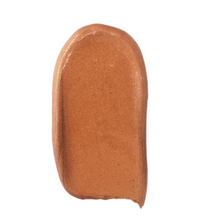 Load image into Gallery viewer, Nudestix Nudies Glow All Over Face Highlight - Brown Sugar Baby