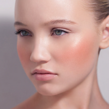 Load image into Gallery viewer, Natasha Denona Blush Duo Palette - Shade 10