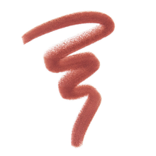 Load image into Gallery viewer, Anastasia Beverly Hills Lip Liner - Raisin