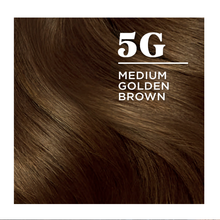 Load image into Gallery viewer, Clairol Perfect 10 Nice&#39;n Easy Hair Permanent Color - 5G Medium Golden Brown