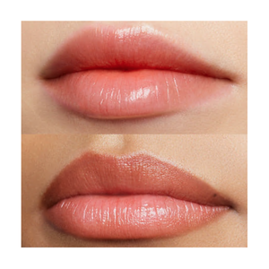 Bobbi Brown Extra Lip Tint - Bare Melon