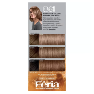 L'Oréal Paris Feria Multi-Faceted Shimmering Hair Colour - B61 Hi-Lift Cool Brown