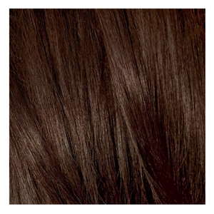 L'Oreal Paris Excellence Triple Protection Permanent Hair Color - 4 Dark Brown