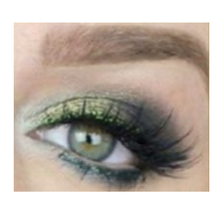 Load image into Gallery viewer, Makeup Geek Signature Eyeshadow - Enchanted Forest