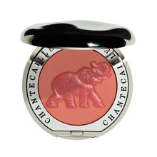 Load image into Gallery viewer, Chantecaille Philanthropy Cheek Shades Blush - Elephant (Smitten)