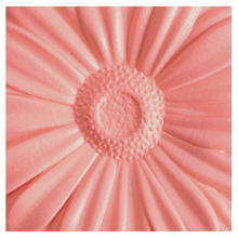 Load image into Gallery viewer, Clinique Cheek Pop Blush - Melon Pop