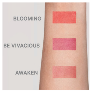 Kevyn Aucoin The Color Stick Blush - Blooming