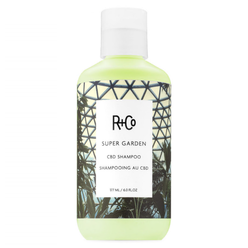 R+Co Super Garden CBD Shampoo 6 oz