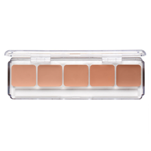 Load image into Gallery viewer, RCMA Makeup 5 Part Series Favorites Palette - Olive