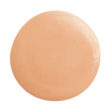 Load image into Gallery viewer, Sisley Paris Phyto Blanc Le Cushion Foundation - 1N Ivory